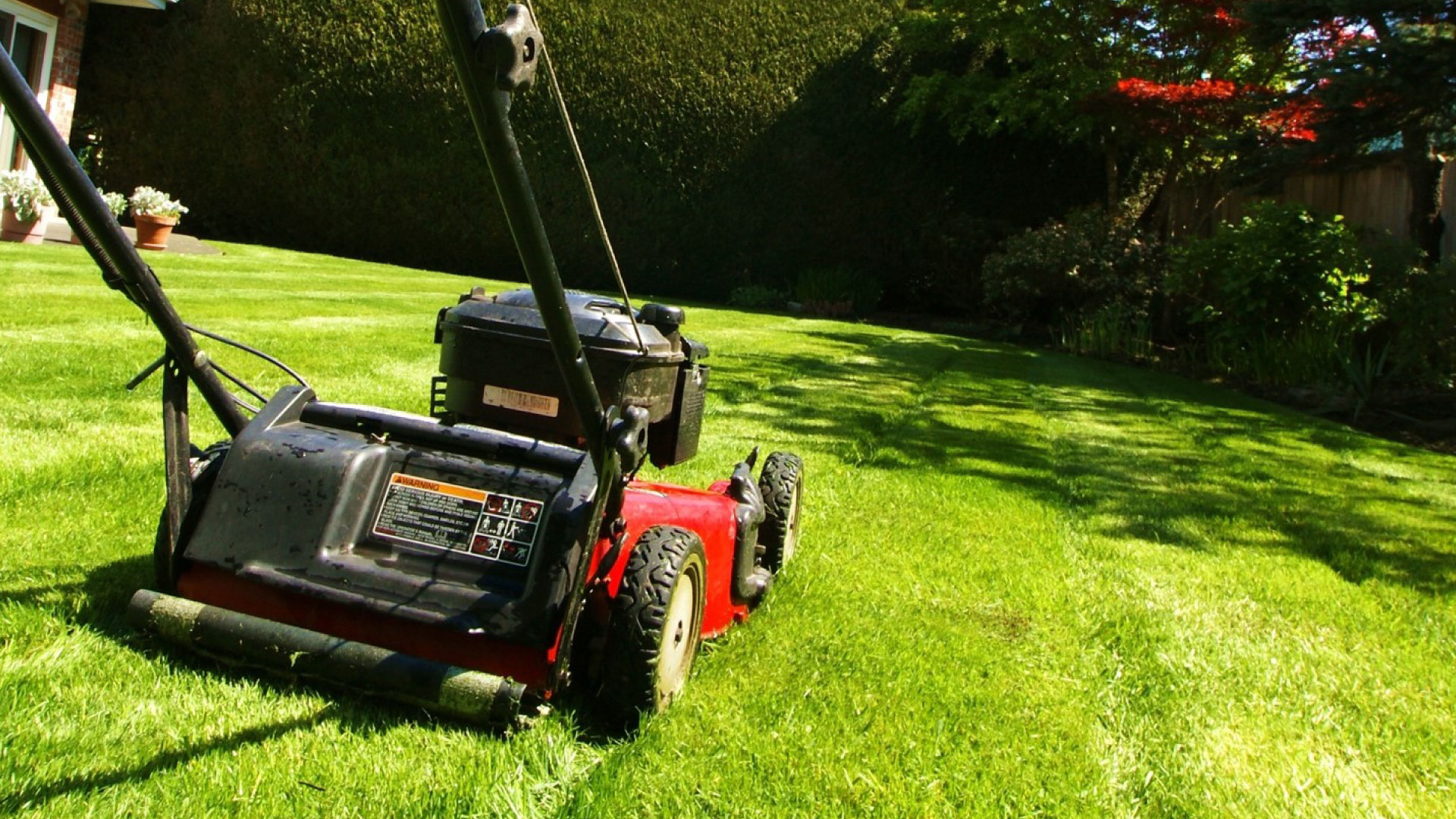 Starting a Lawn Care Business: A lawn mower ready for efficient lawn care service